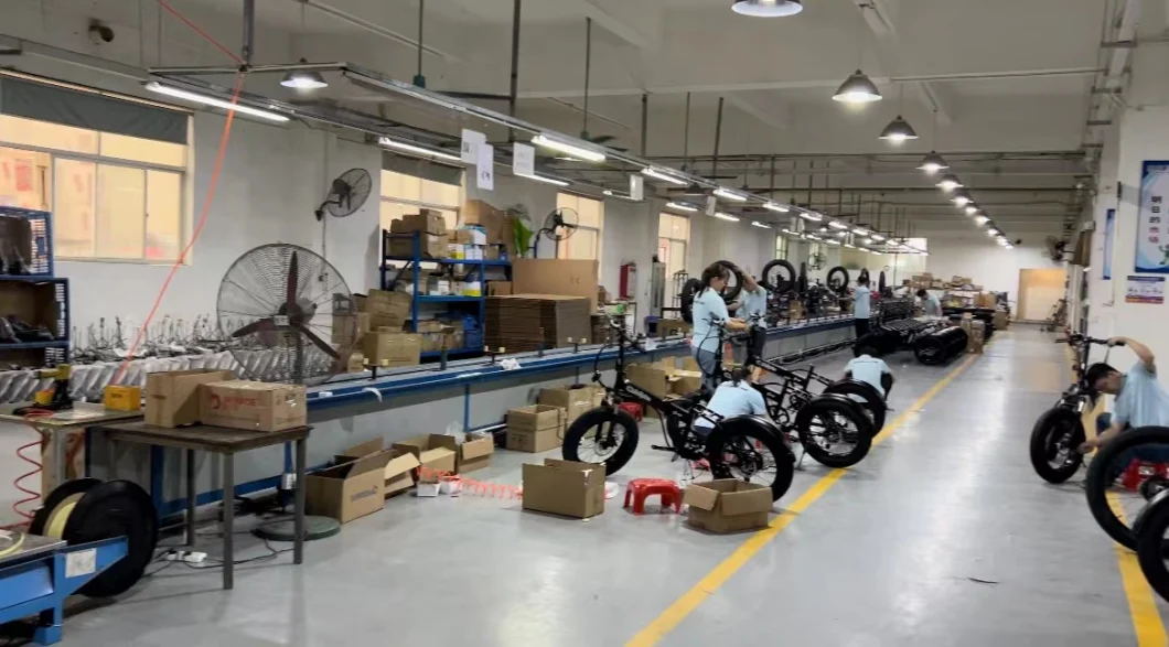 Hot Sale Customized Service Mini Folding Electric Bike E Bike Ebike Electric Bicycle Fat Bike Injection Molding Cycle Motorbike with 48V 350W & ODM/OEM Factory