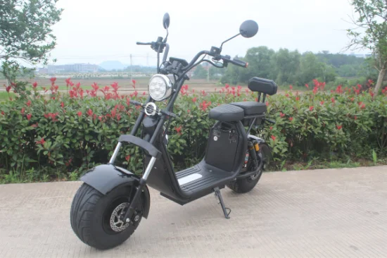 Fat Boy – sac avant à grande vitesse pour Moto électrique 1500W 2000W 3000W, Scooter Citycoco