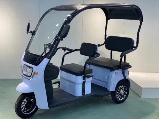 Hangar intégré à tricycle électrique avec essuie-glace, voiture électrique récréative pour adultes