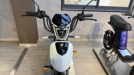 Syev CEE Scooter électrique pour adulte avec moteur DC sans balais 800 W Shenyun