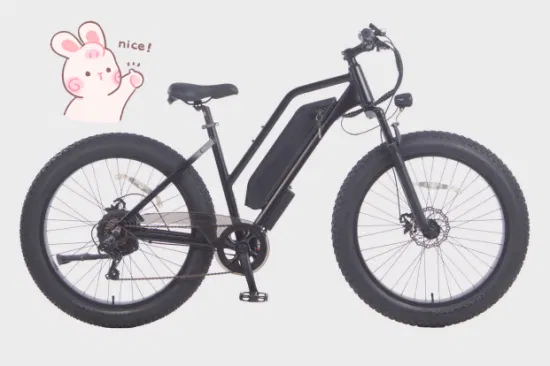 48V 500W adulte deux roues 26 pouces 7 vitesses vélo de saleté électrique cyclomoteur vélo électrique avant Suspension vélo électrique gros vélo