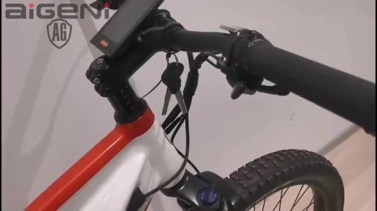 27,5 pouces de suspension personnalisée vélo électrique gros pneu Ebike VTT